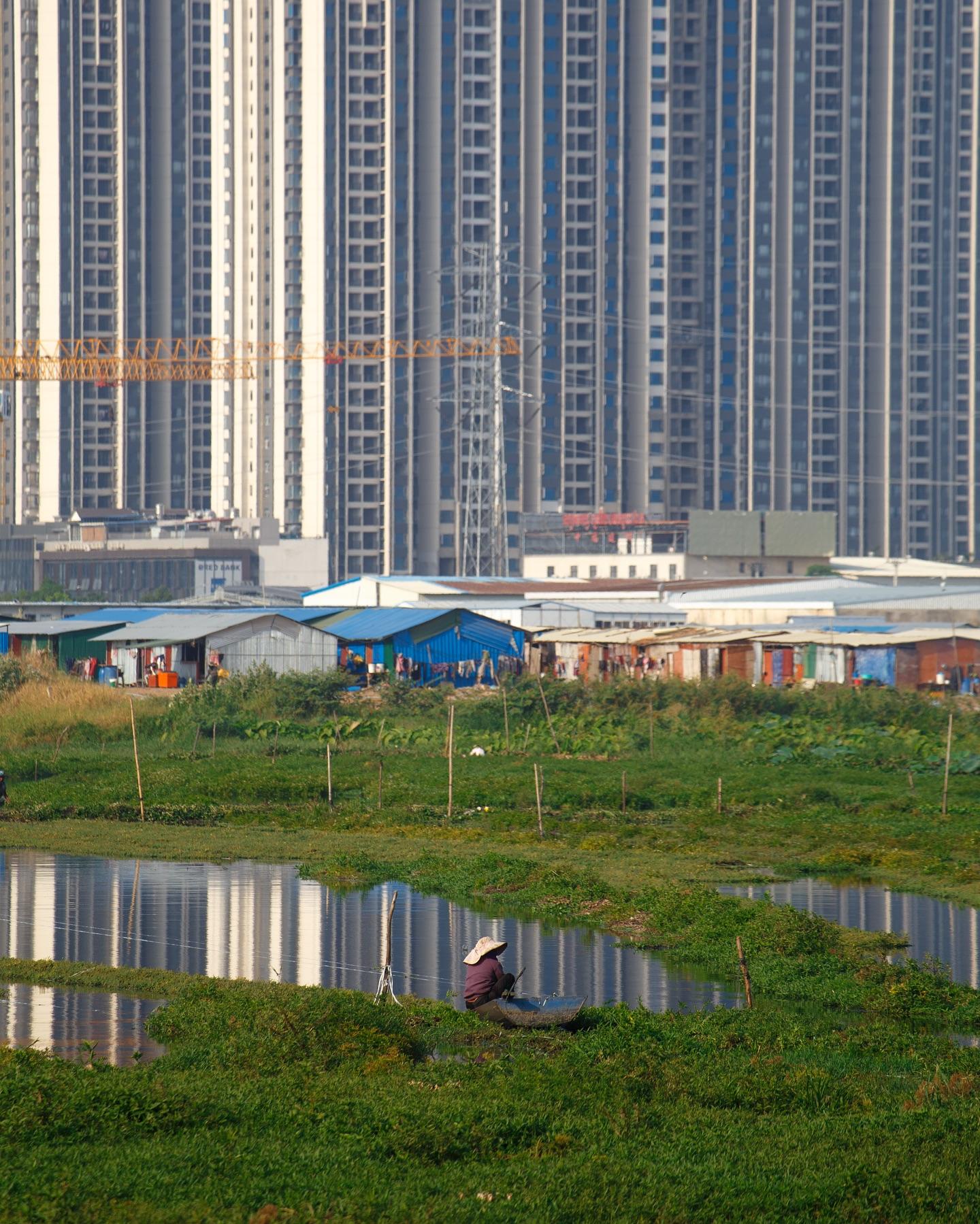 A person beside a pond beneath Phnom Penh’s changing skyline