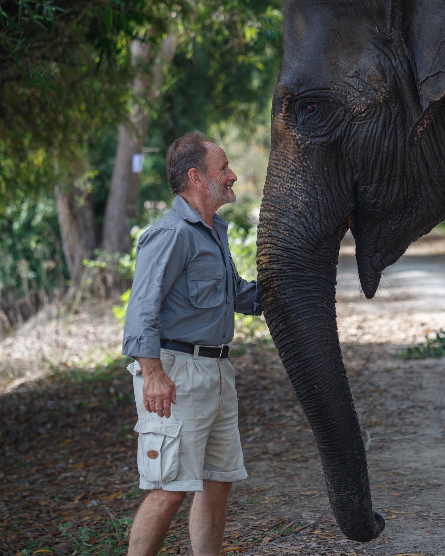 A person standing beside an elephant