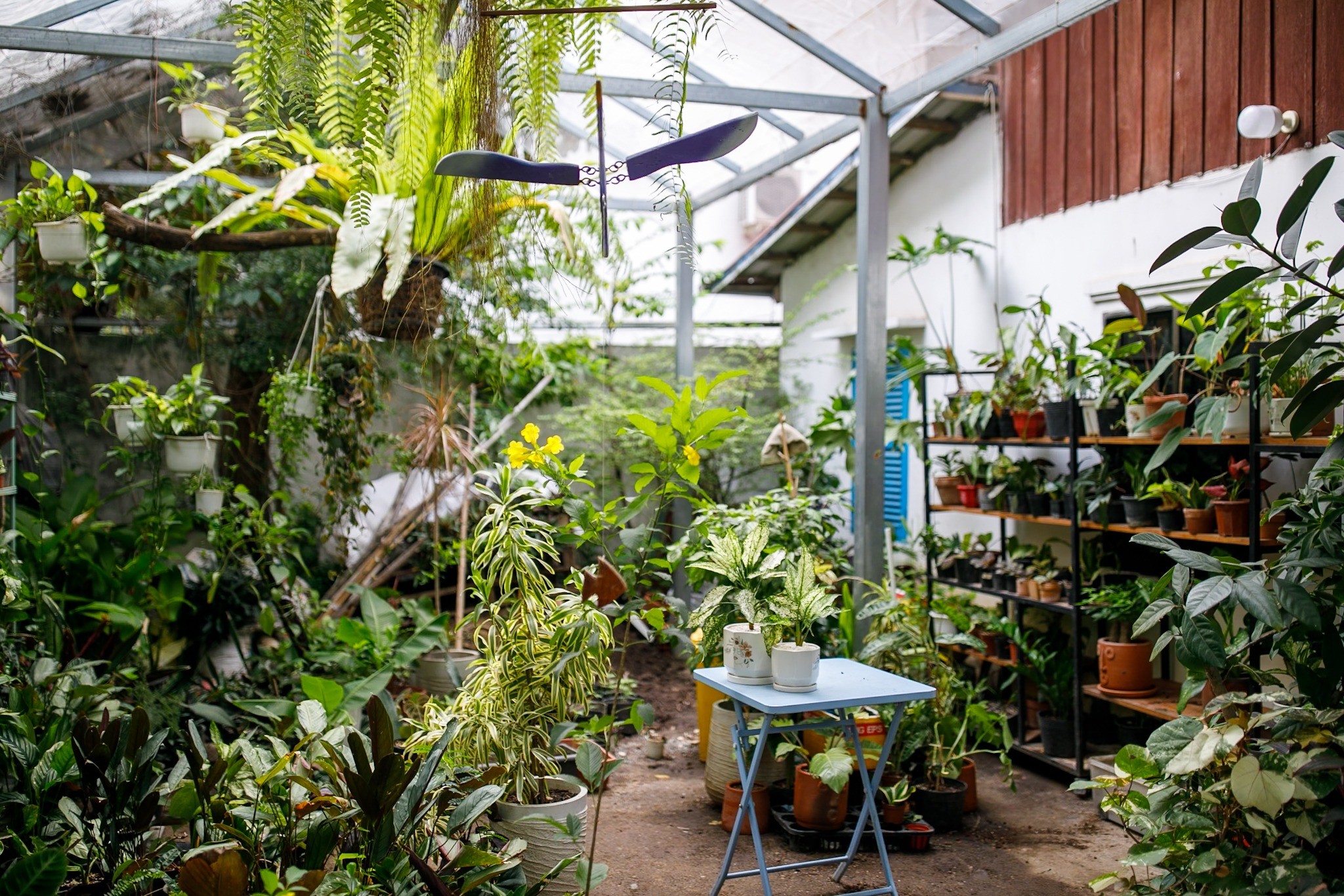 Plants and a small table along the courtyard path