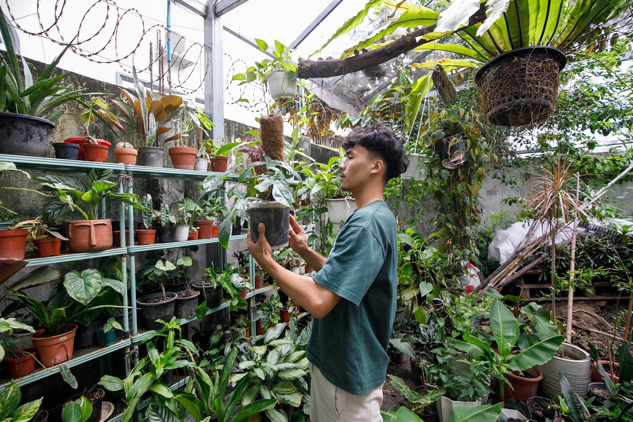 Thea examining a potted plant in the courtyard