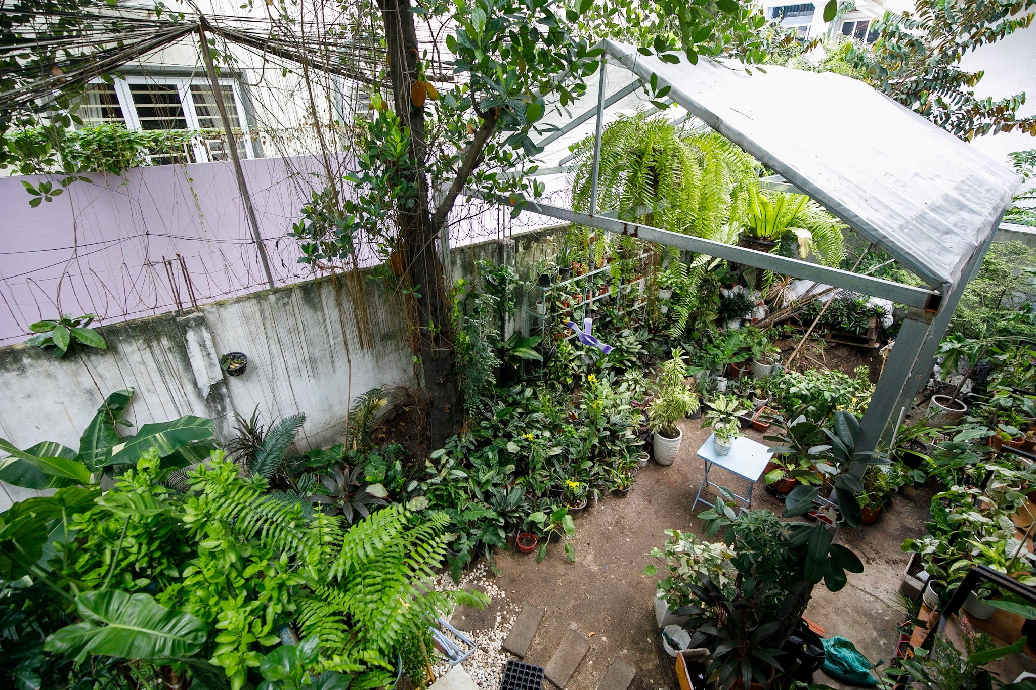The green courtyard seen from above