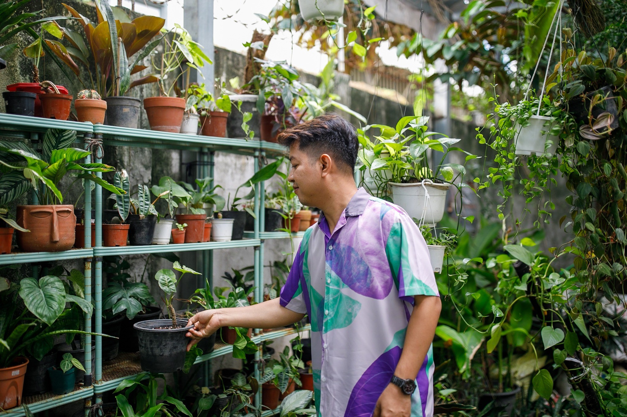 Sopheak looking at the plants on the garden shelves